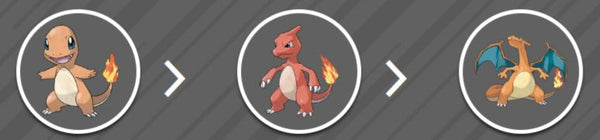 Pokemon Charizard Evolutions